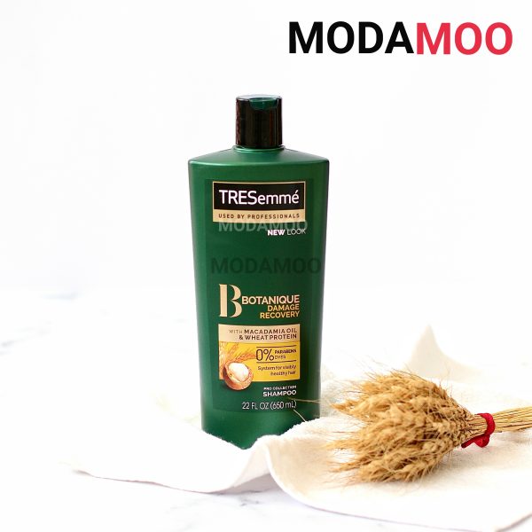 شامپو ترزمه ماکادمیا و جوانه گندم مخصوص موهای آسیب دیده ترزمی مدل Botanique Damage Recovery - تصویر 2